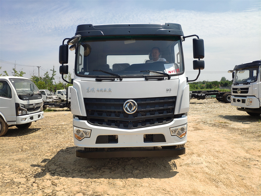 東風(fēng)D3（后雙橋，玉柴245）國六 內(nèi)飾照片圖